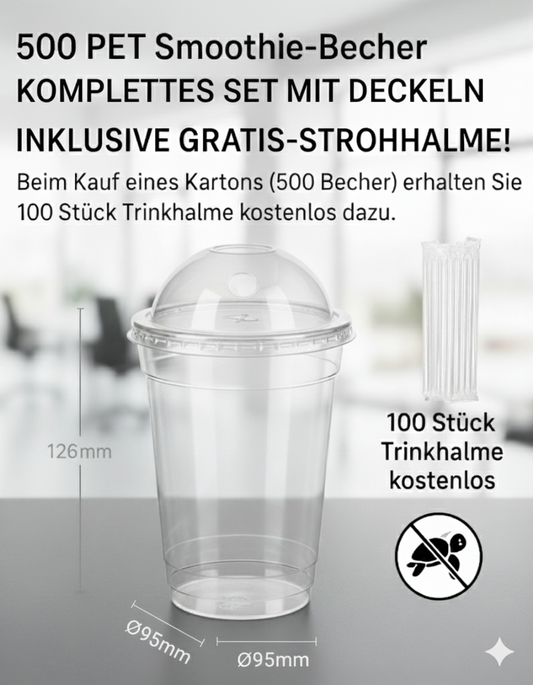 500 PET Smoothie Becher 400ml – Einweg Plastikbecher Transparent mit 100 Gratis Trinkhalmen – To Go Becher für Smoothies, Säfte, Shakes, Bubble Tea, Eiskaffee